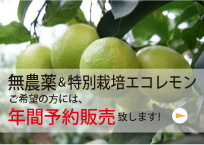 長畠さん