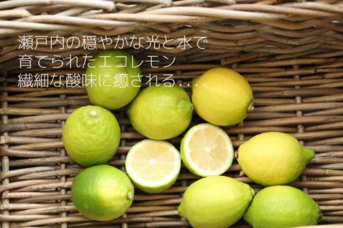 瀬戸田レモン、瀬戸内レモン 皮まで食べられる無農薬レモン(ワックス 